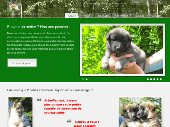 Pension pour chiens Yvelines 78