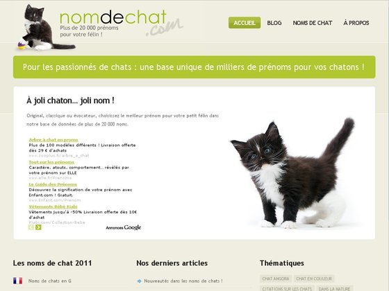 Nom De Chat Com Trouver Un Nom Pour Votre Chat