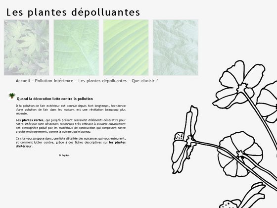 Les plantes dépolluantes